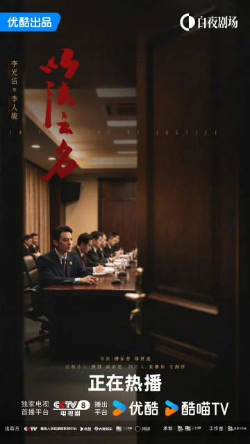 《以法之名》正义与人性博弈，司法迷局中的真相探寻