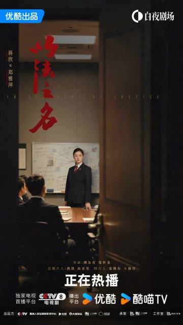 《以法之名》正义与人性博弈，司法迷局中的真相探寻