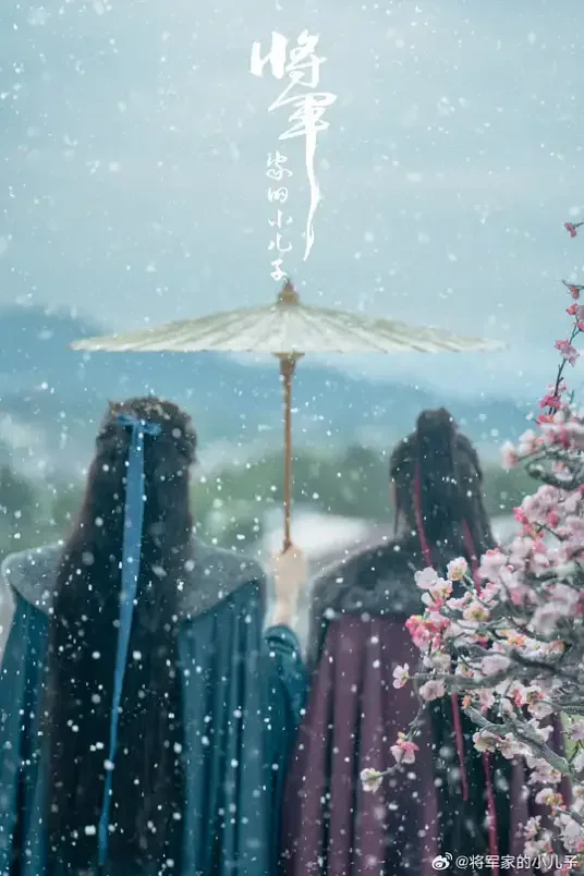 将军家的小儿子