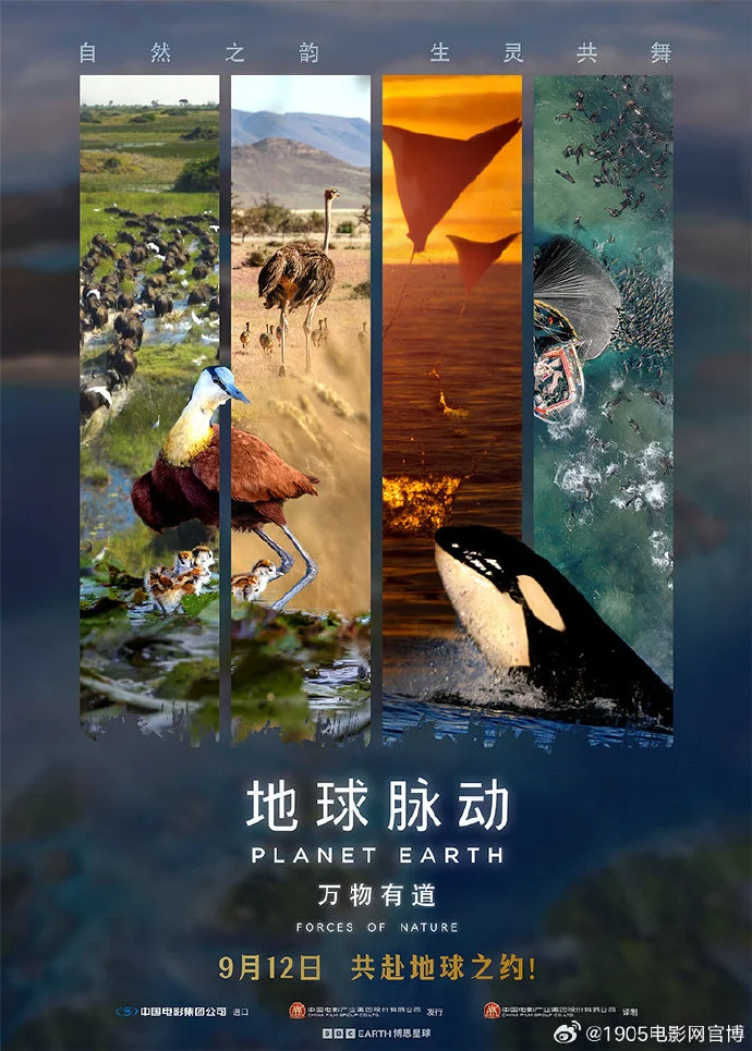 《地球脉动：万物有道》定档9月12日上映，解锁地球生命奇迹