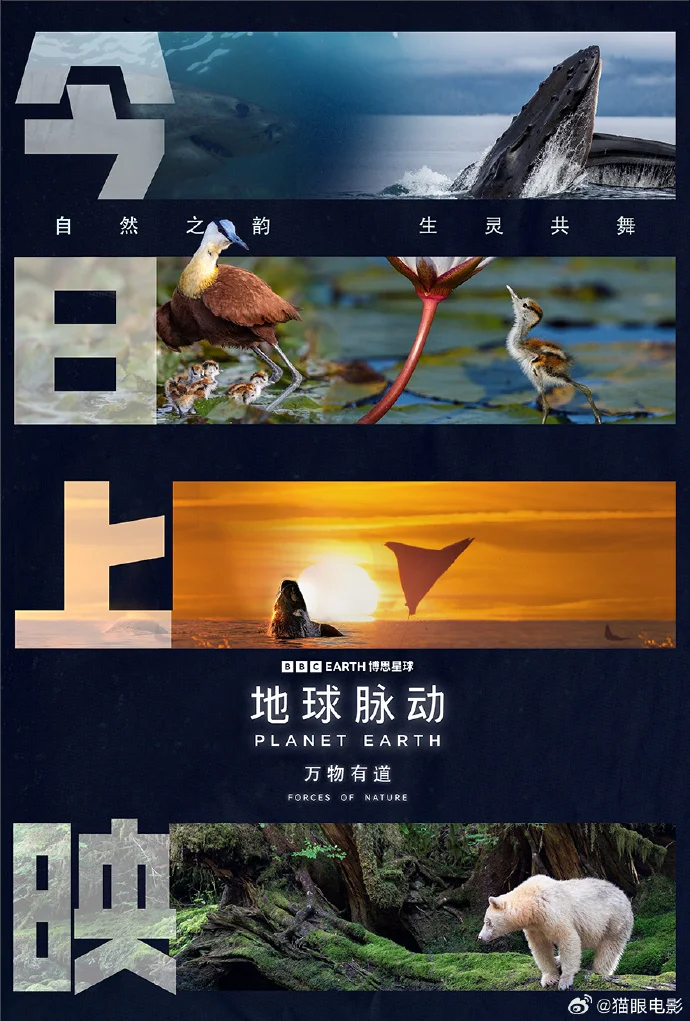 《地球脉动：万物有道》今日上映，开启震撼自然纪实之旅