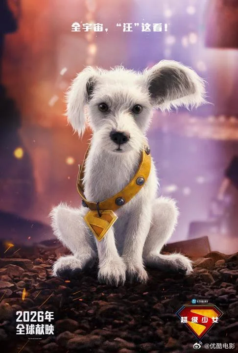 幼犬小氪萌翻！DCU《超级少女》定档6月26日，超狗海报首曝光