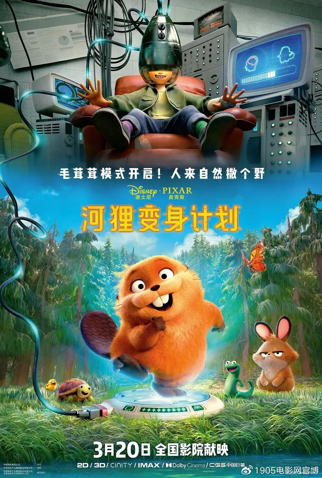 迪士尼皮克斯《河狸变身计划》定档3月20日
