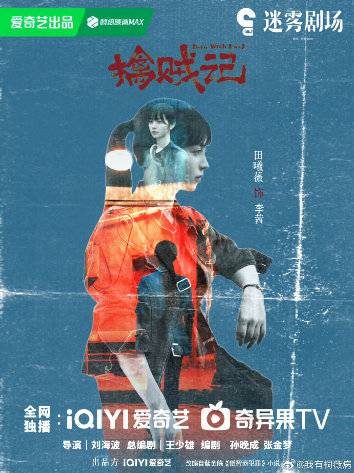 《擒贼记》剧情是什么？一共多少集？