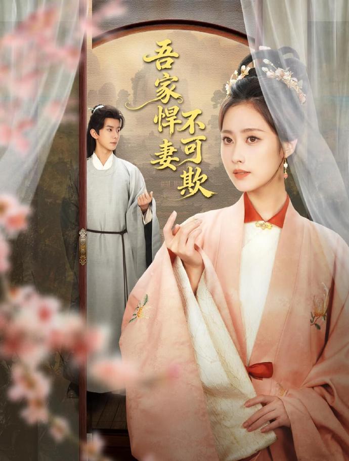 《吾家悍妻不可欺》讲的是什么故事？一共多少集？