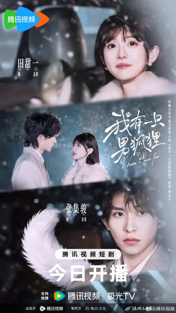 《我有一只男狐狸》的剧情是什么？一共多少集？