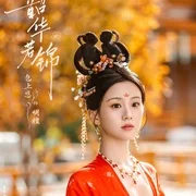韶华若锦1